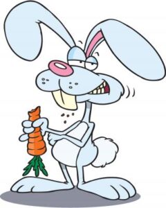 dust bunny